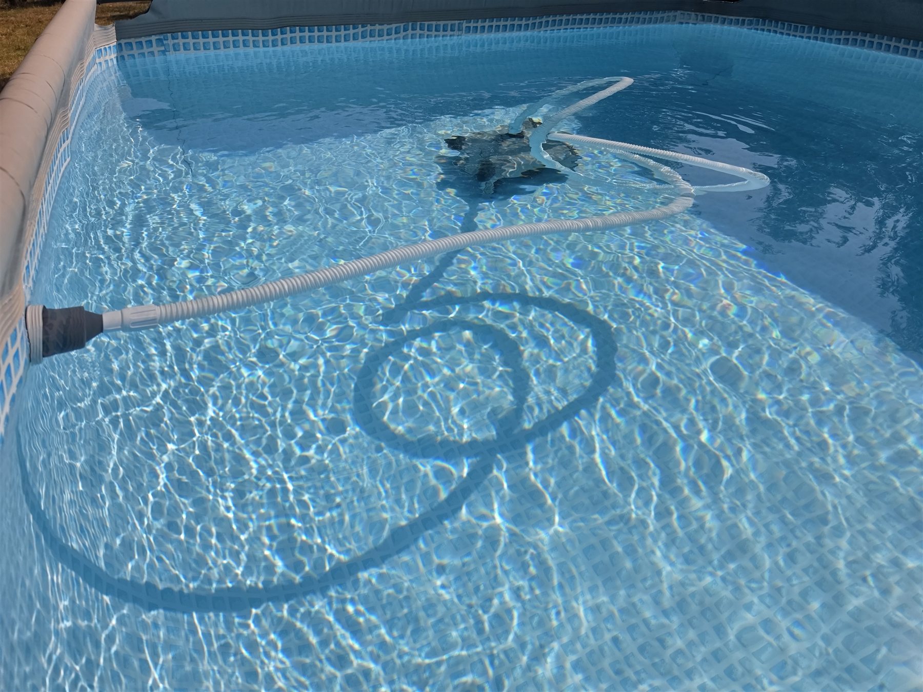 Robot aspirateur de fond Intex ZX50 en fonctionnement dans une piscine hors sol