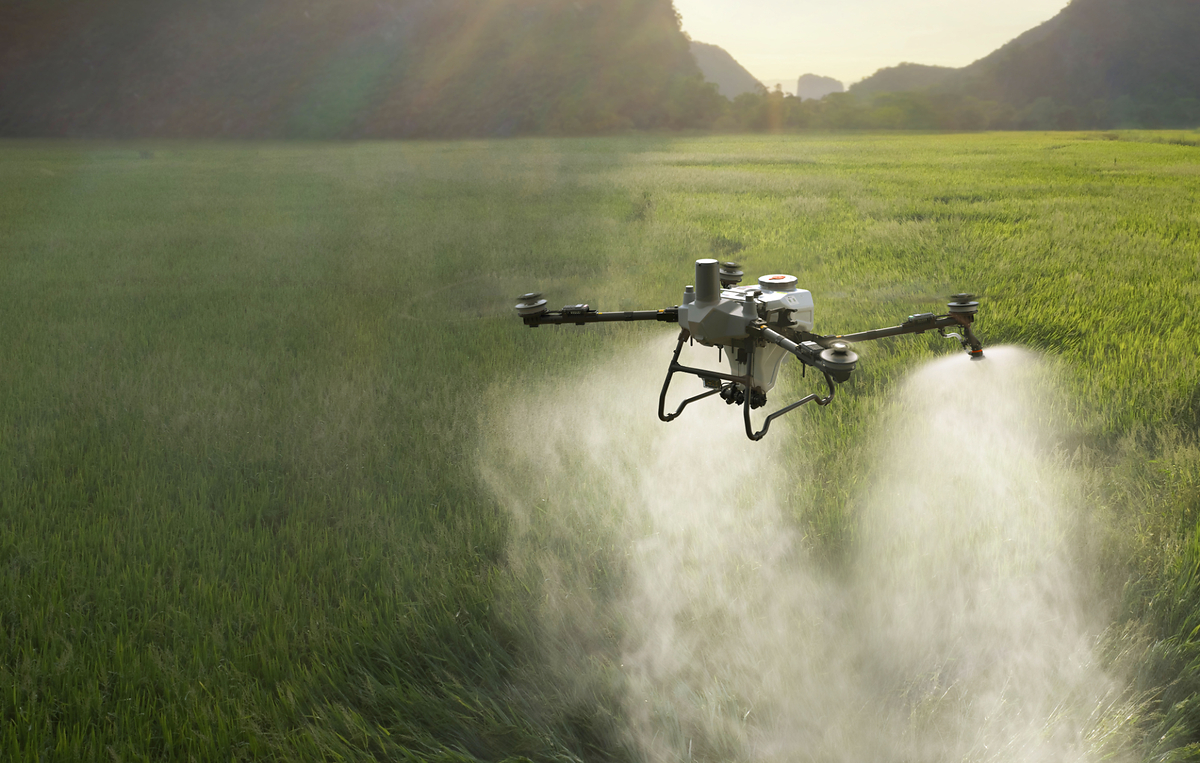 DJI Agras T55 et T100 : les drones agricoles passent à la double batterie